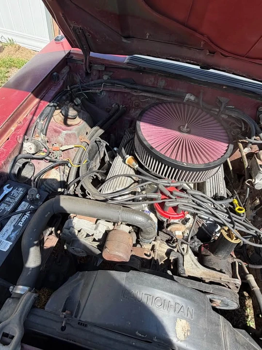 1982 Ford Mustang GT 3rd Gen - Image 2 of 11