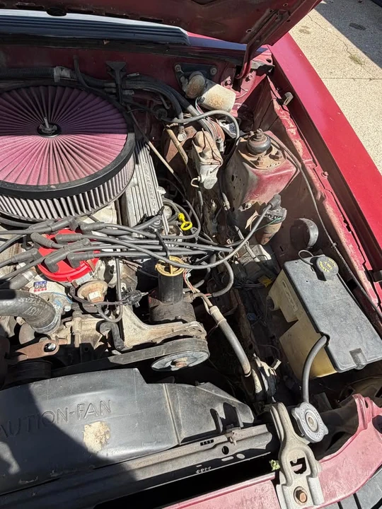 1982 Ford Mustang GT 3rd Gen - Image 3 of 11