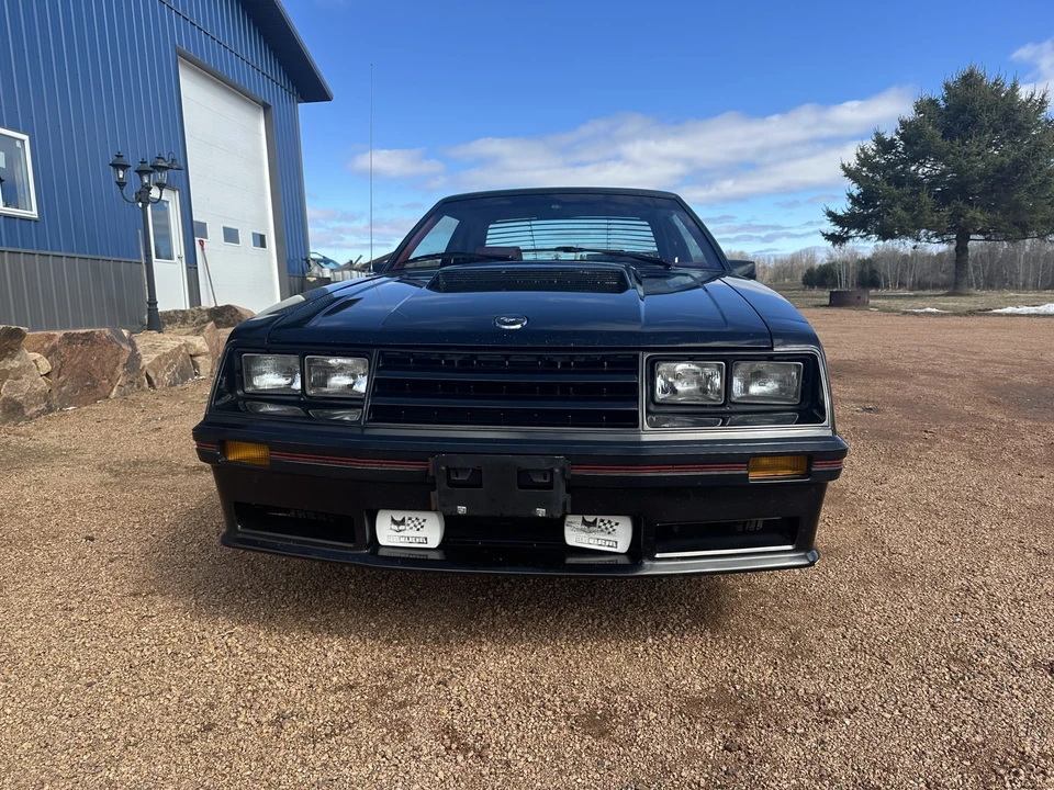 1982 Ford Mustang GT 3rd Gen - Image 3 of 31