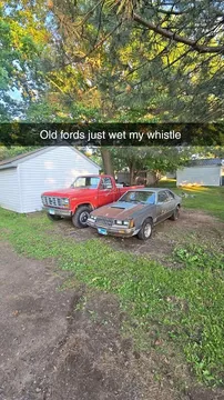 1982 Ford Mustang LX Hatchback 2D