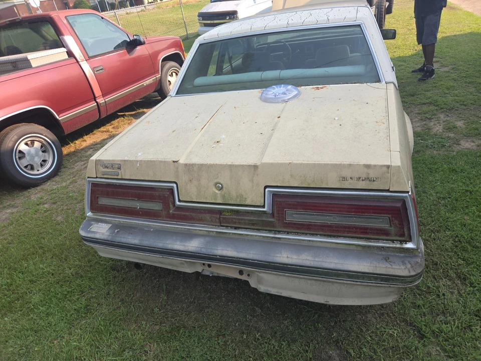 1982 Ford Thunderbird 8th Gen - Image 3 of 7