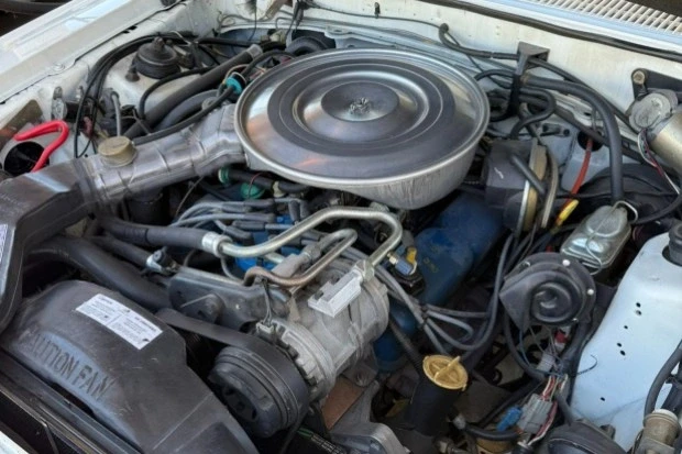 1982 Ford Thunderbird 7th Gen - Image 6 of 8