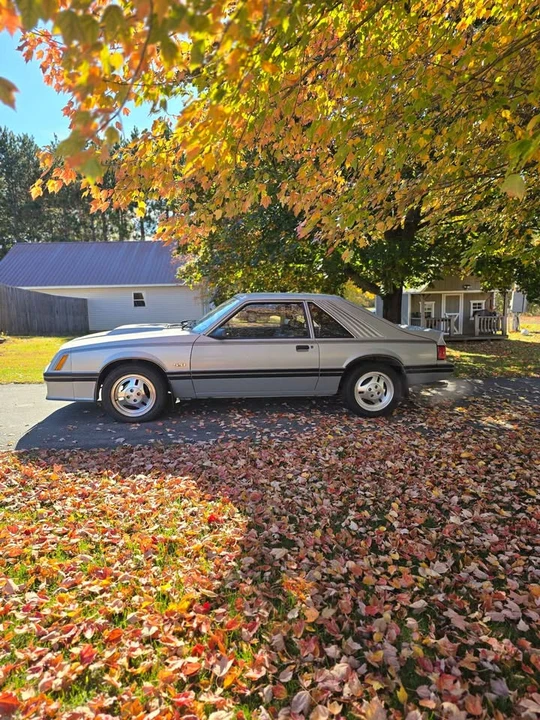 1982 Ford Mustang 3rd Gen - Image 3 of 11