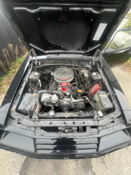 1982 Ford Mustang 3rd Gen - Image 7 of 8