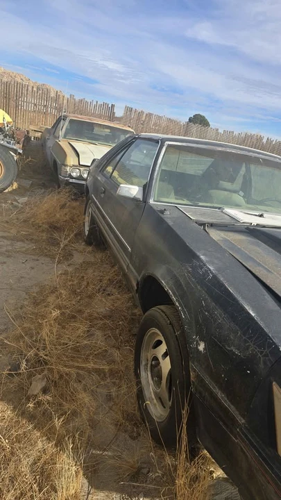 1982 Ford Mustang 3rd Gen - Image 2 of 6
