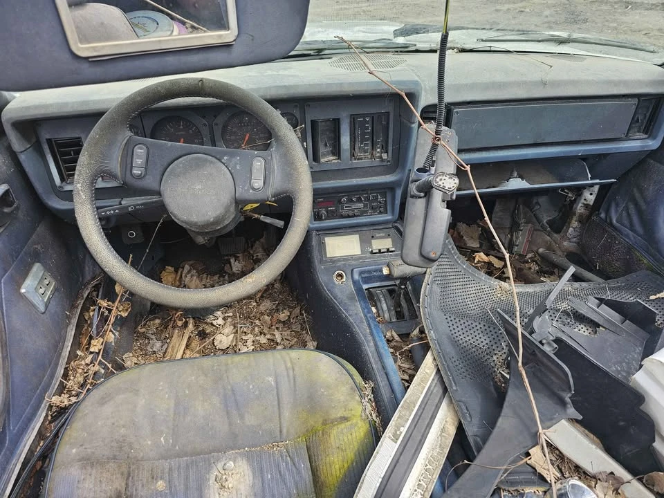 1982 Ford Mustang 3rd Gen - Image 3 of 5