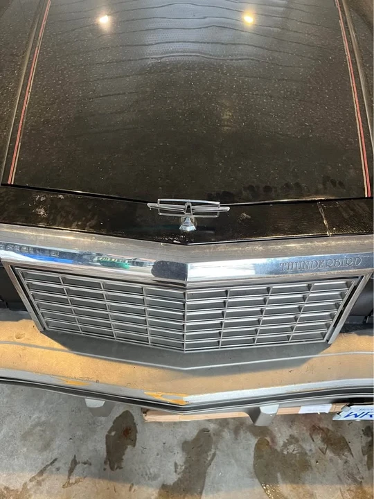 1982 Ford Thunderbird 8th Gen - Image 4 of 14