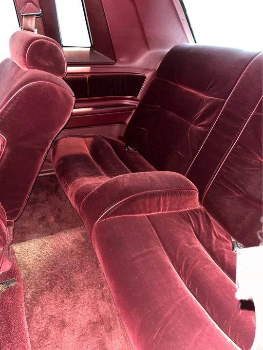 1982 Ford Thunderbird 8th Gen - Image 13 of 14