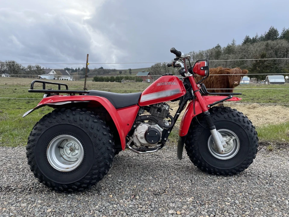 1982 Honda ATV - Image 18 of 31