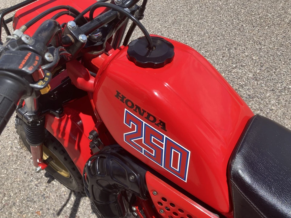 1982 Honda ATV - Image 11 of 31