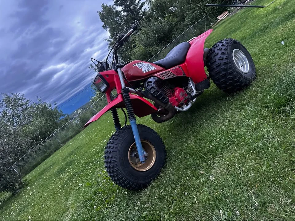 1982 Honda ATV - Image 2 of 11