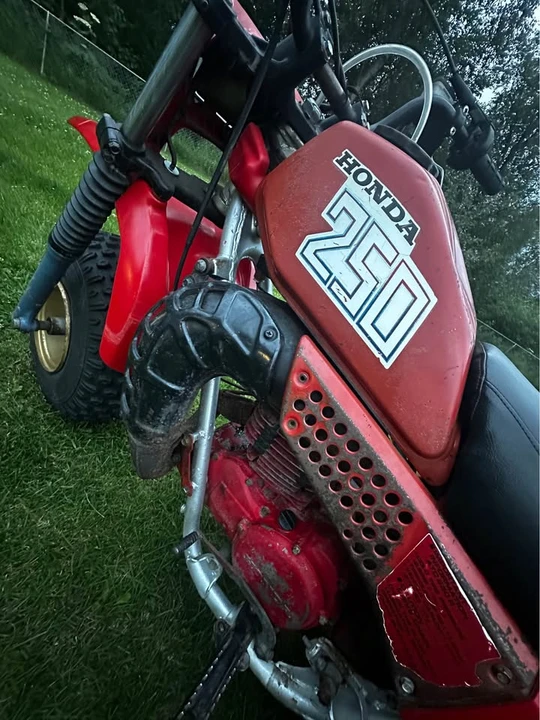 1982 Honda ATV - Image 5 of 11