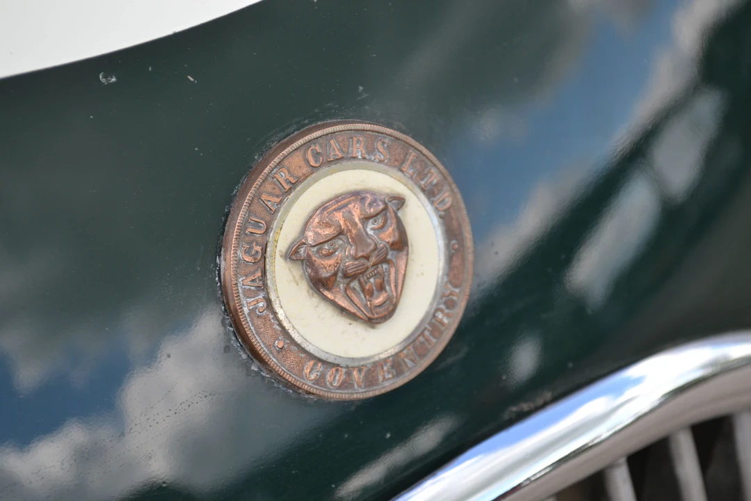 1982 Jaguar Replica - Image 9 of 21