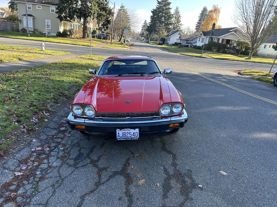 1982 Jaguar XJS Pre-Facelift V12 - Image 12 of 31