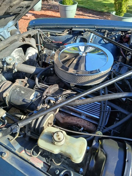 1982 Jaguar XJ Series 3 - Image 7 of 15