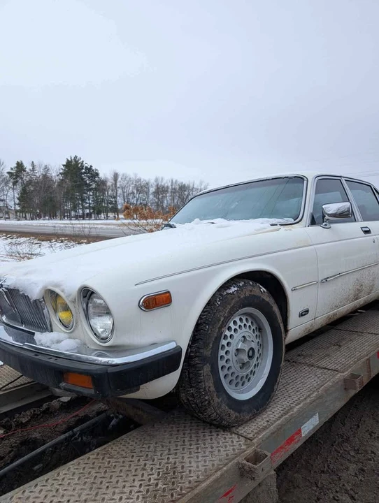 1982 Jaguar XJ Series 3 - Image 2 of 8
