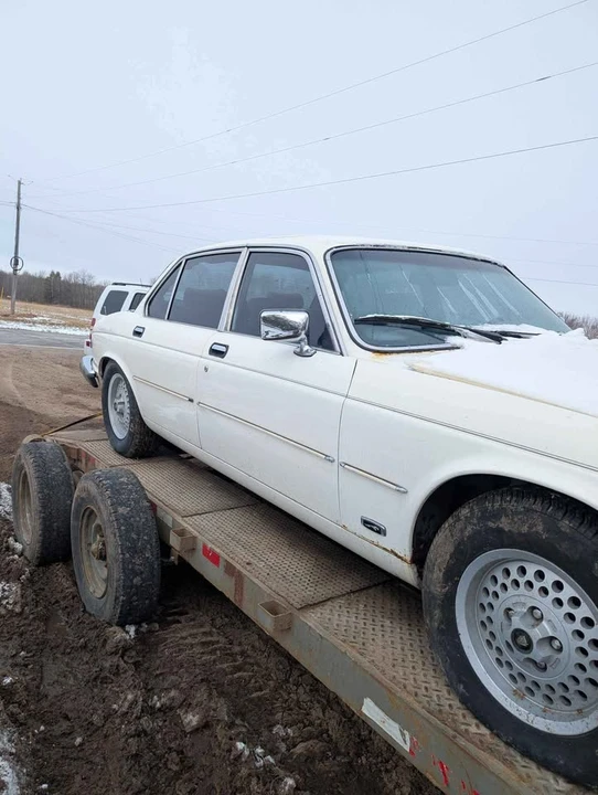 1982 Jaguar XJ Series 3 - Image 8 of 8