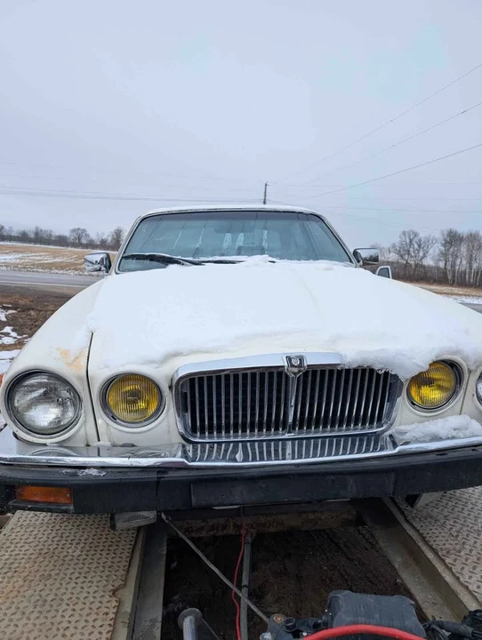 1982 Jaguar XJ Series 3 - Image 6 of 8
