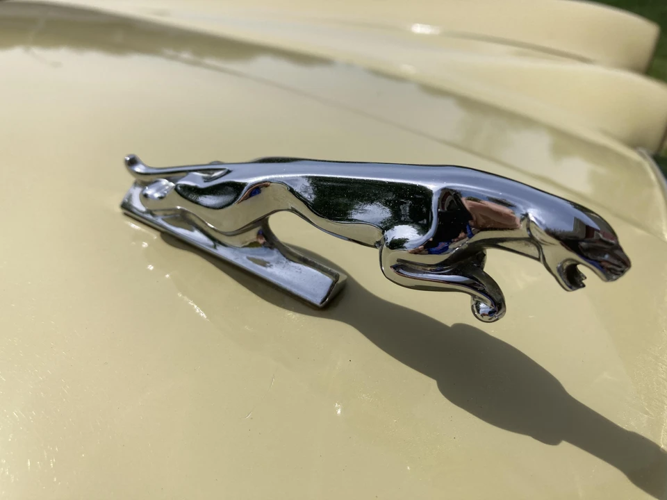 1982 Jaguar XJ Series 3 - Image 13 of 31