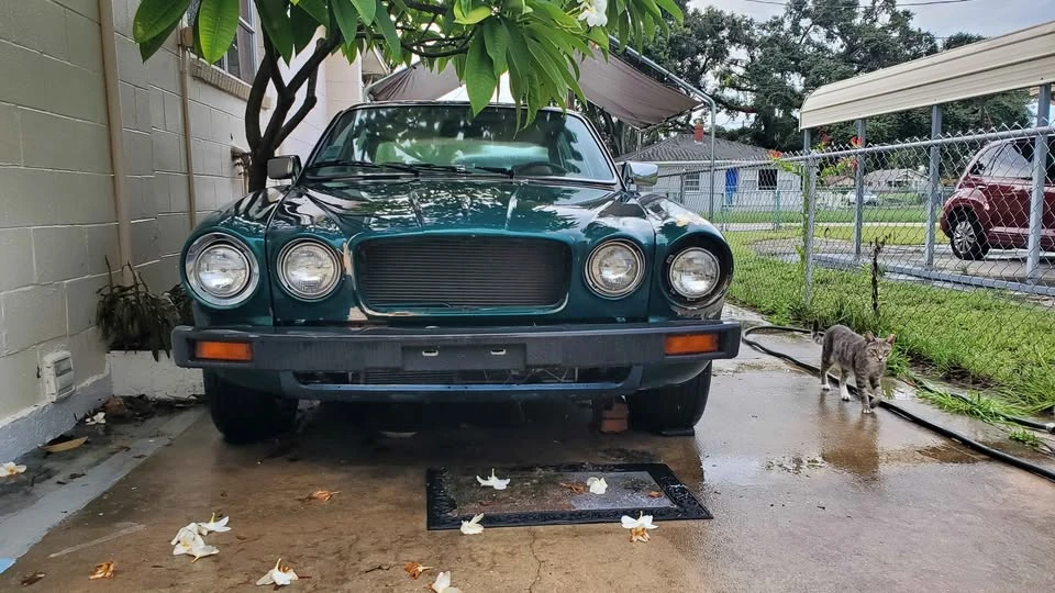 1982 Jaguar XJ Series 3 - Image 2 of 20