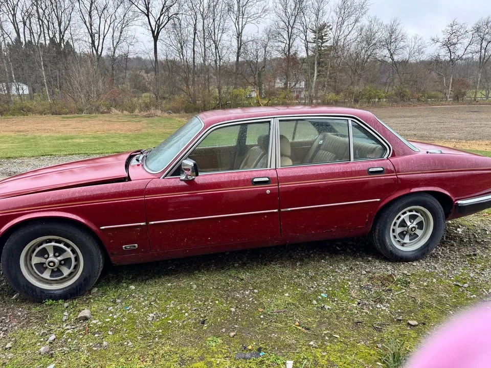 1982 Jaguar XJ Series 3 - Image 2 of 10