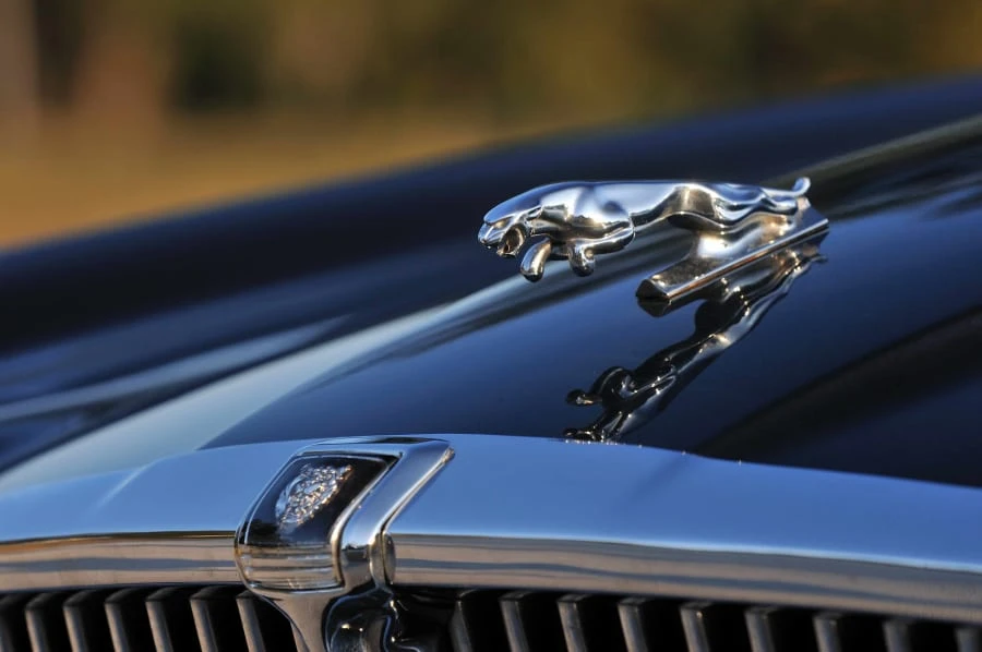 1982 Jaguar XJ Series 3 - Image 7 of 10