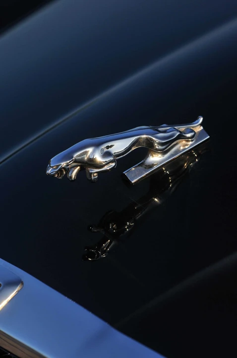 1982 Jaguar XJ Series 3 - Image 8 of 10