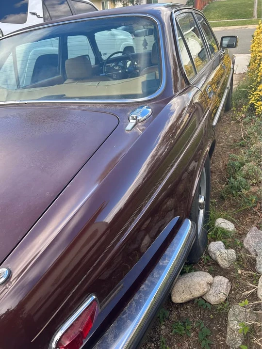 1982 Jaguar XJ Series 3 - Image 3 of 10