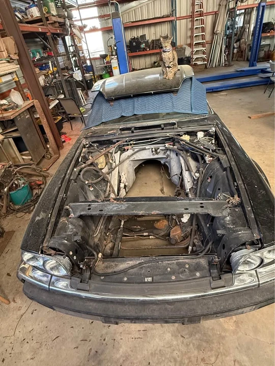 1982 Jaguar XJS Pre-Facelift V12 - Image 4 of 8