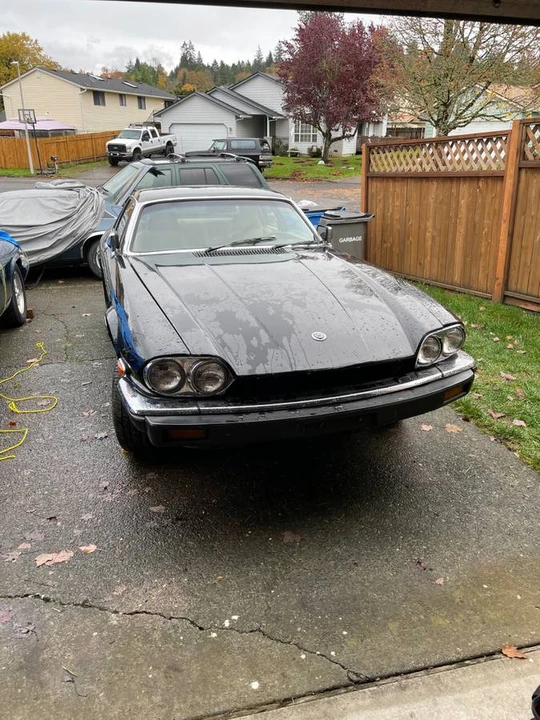 1982 Jaguar XJS Pre-Facelift V12 - Image 2 of 11