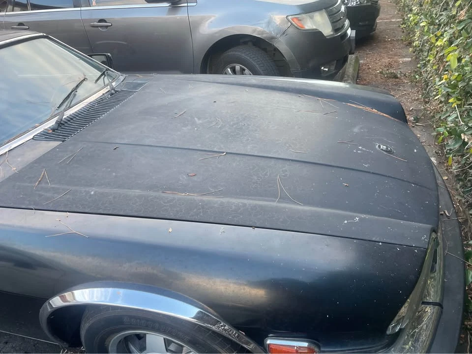 1982 Jaguar XJS Pre-Facelift V12 - Image 4 of 7