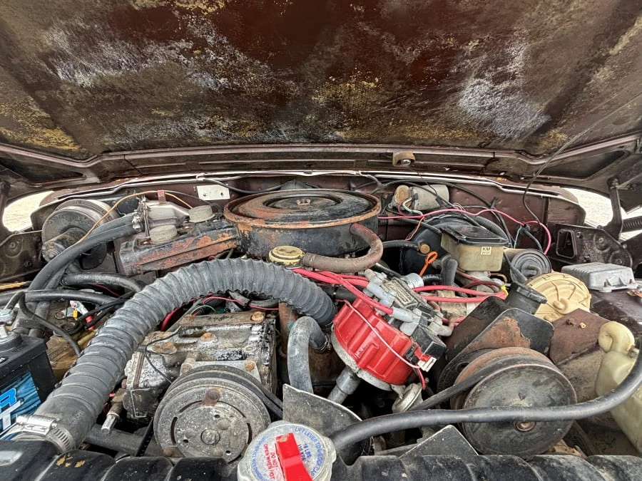 1982 Jeep SJ Cherokee - Image 9 of 9