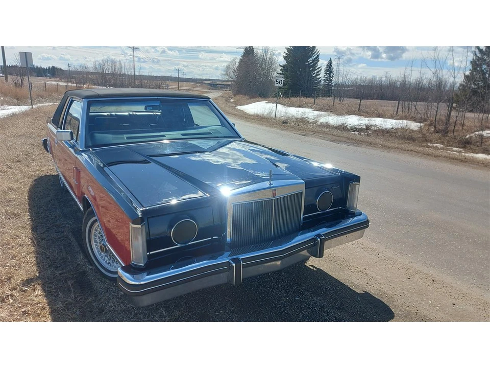1982 Lincoln Continental Mark VI - Image 4 of 31