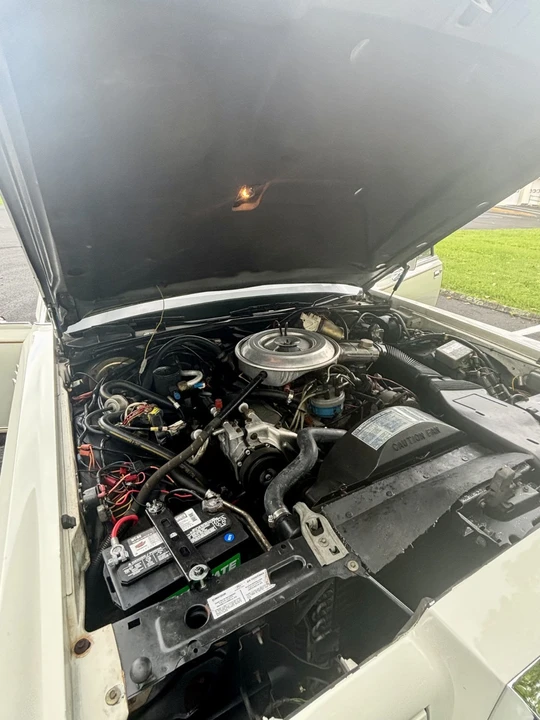 1982 Lincoln Continental Mark VI - Image 26 of 31