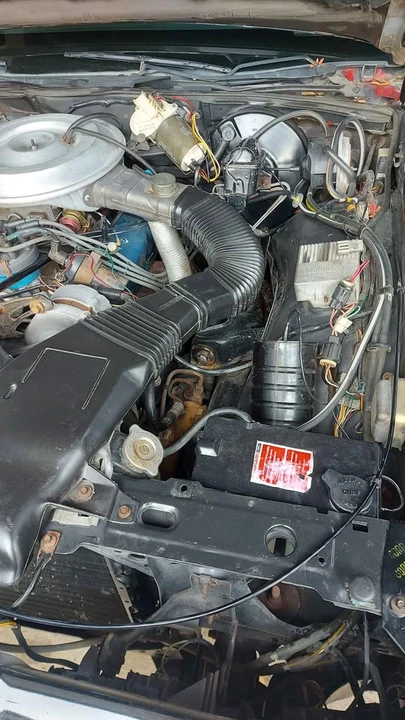 1982 Lincoln Continental Mark VI - Image 15 of 16