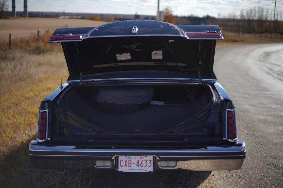 1982 Lincoln Continental Mark VI - Image 9 of 16