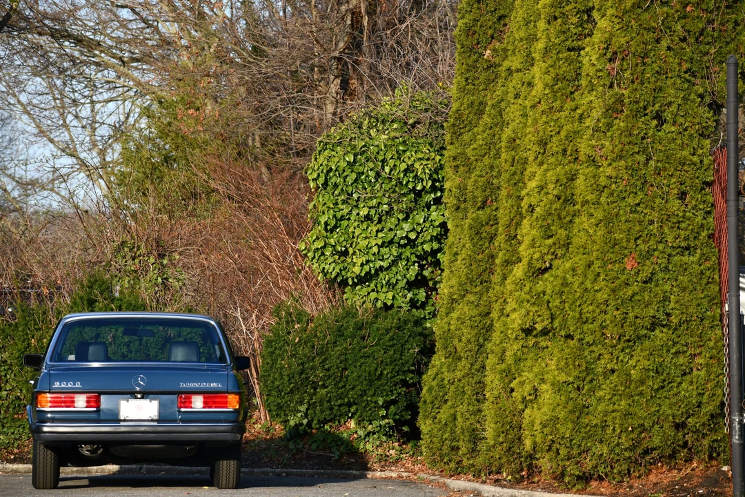 1982 Mercedes-Benz W123 Sedan - Image 6 of 31