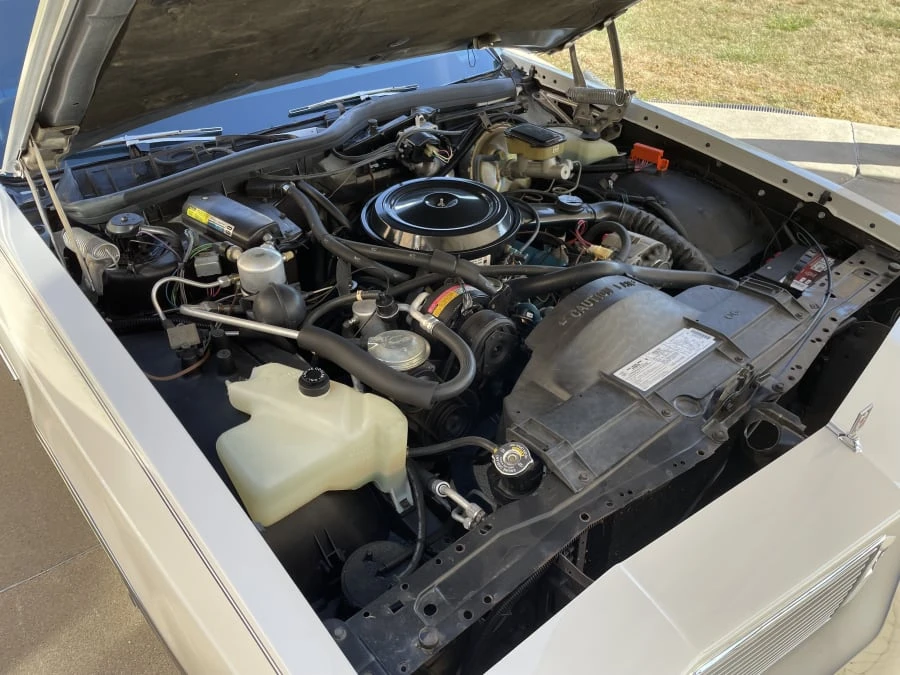1982 Oldsmobile 88 - Image 23 of 26