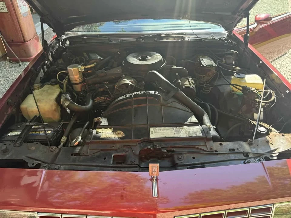 1982 Oldsmobile Cutlass Supreme - Image 13 of 18