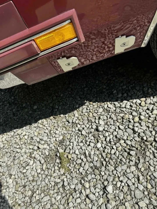 1982 Oldsmobile Cutlass Supreme - Image 9 of 18