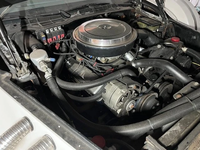 1982 Pontiac Firebird 3rd Gen - Image 10 of 20