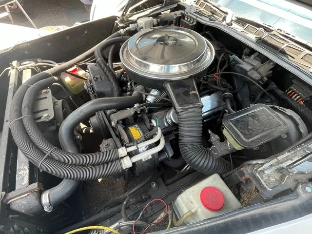 1982 Pontiac Firebird 3rd Gen - Image 11 of 20