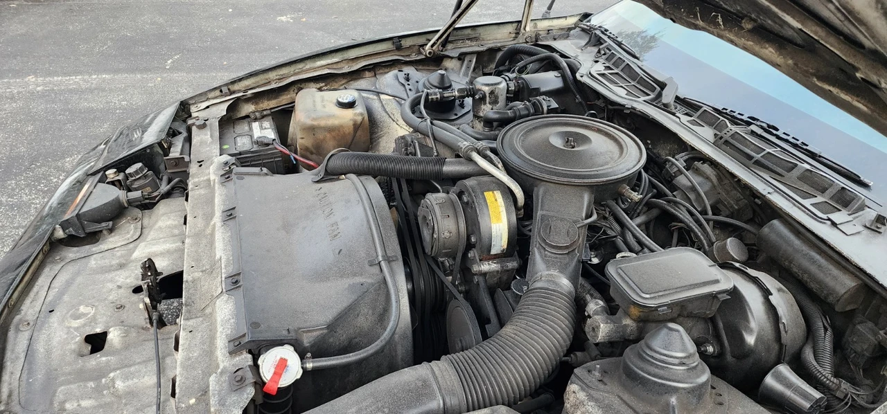 1982 Pontiac Firebird 3rd Gen - Image 11 of 21