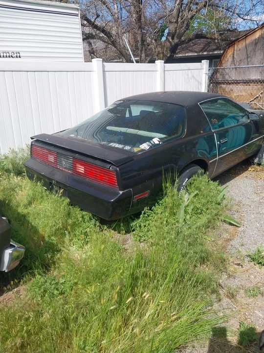 1982 Pontiac Firebird 3rd Gen - Image 6 of 6