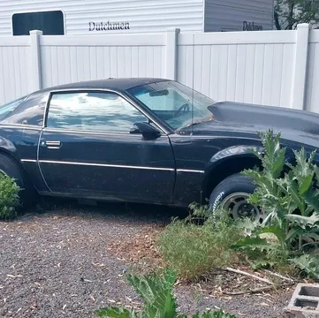 1982 Pontiac Firebird