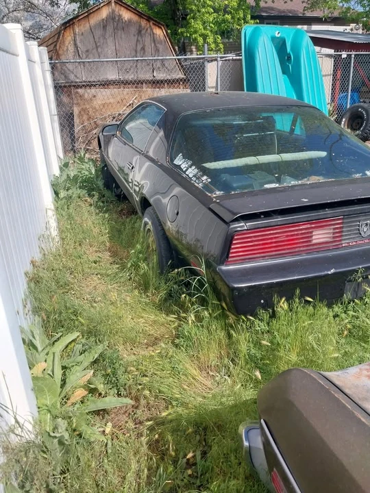 1982 Pontiac Firebird 3rd Gen - Image 5 of 6