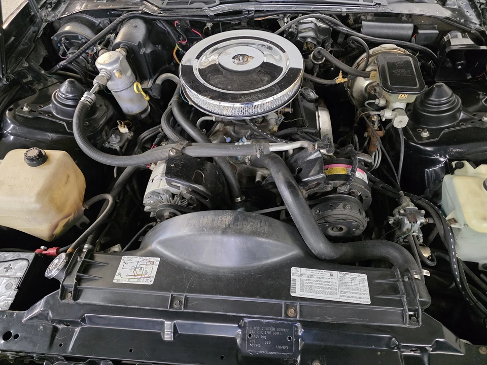 1982 Pontiac Firebird 3rd Gen - Image 25 of 31