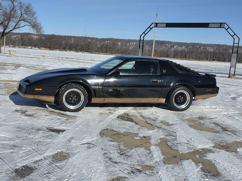 1982 Pontiac Firebird 3rd Gen - Image 2 of 31