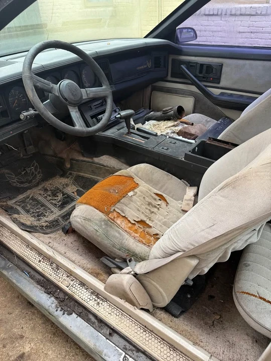 1982 Pontiac Firebird 3rd Gen - Image 4 of 4
