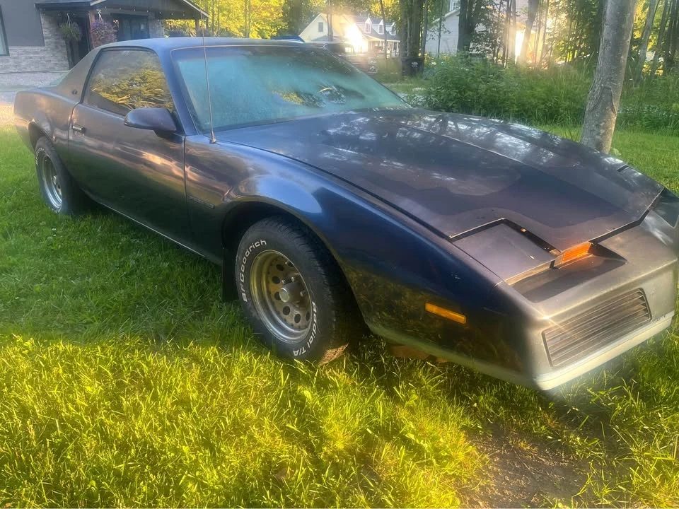 1982 Pontiac Firebird 3rd Gen - Image 6 of 14